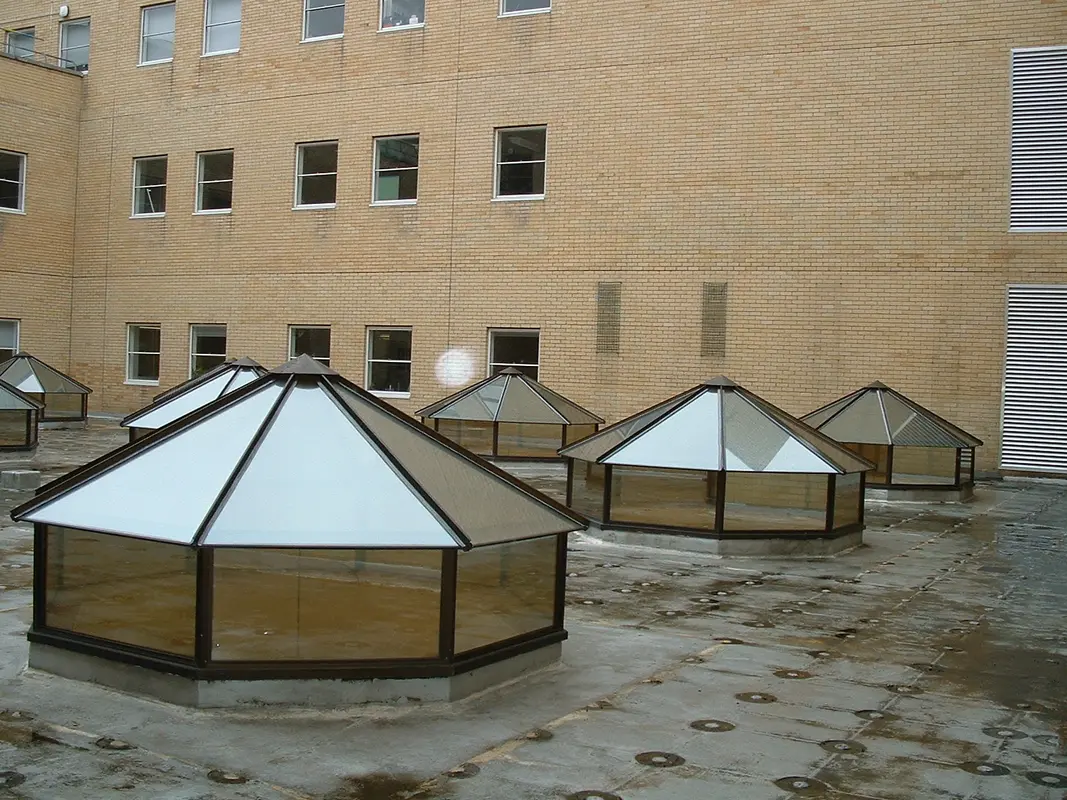 Flat Roof Skylights Greenwich